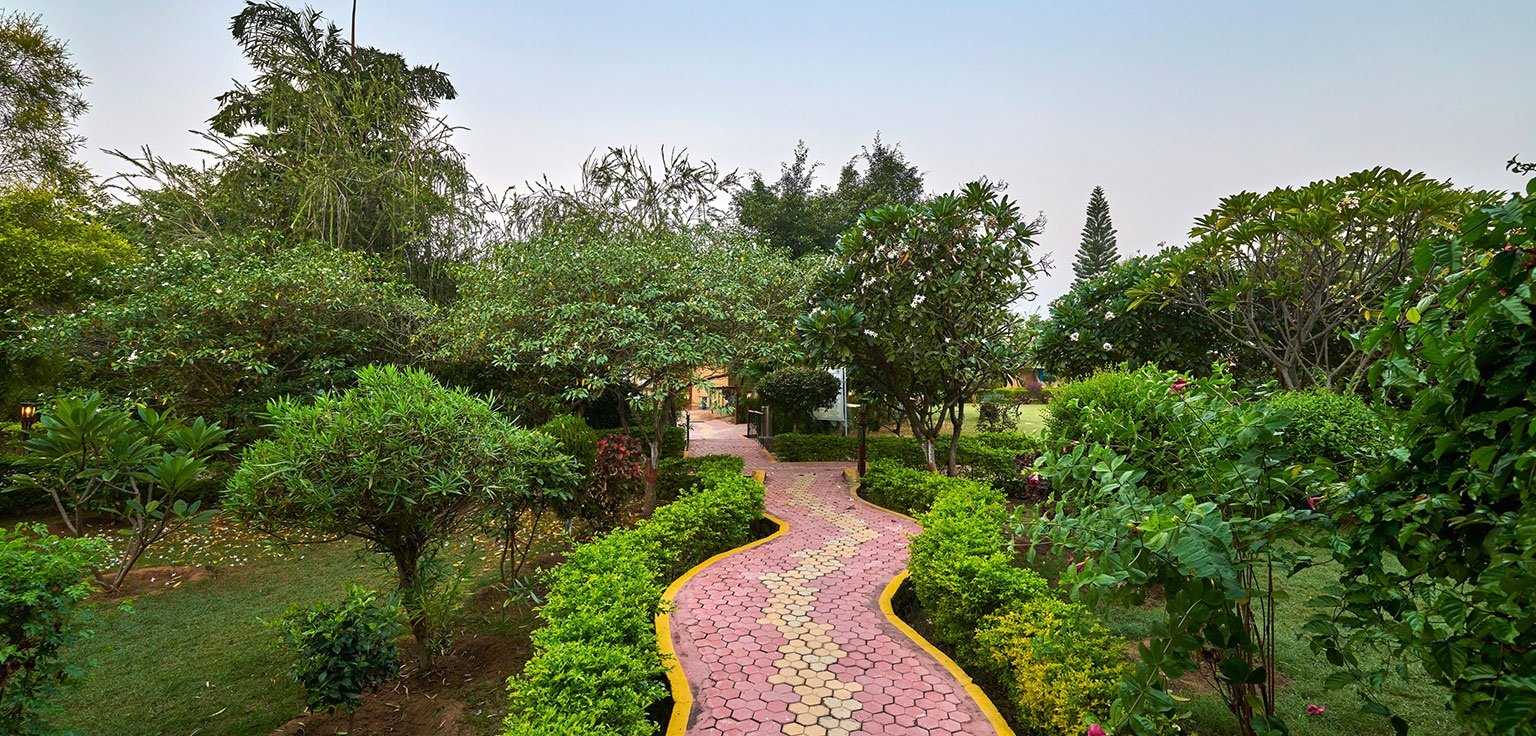 Acorn Hideaway Resort & Spa Jim Corbett