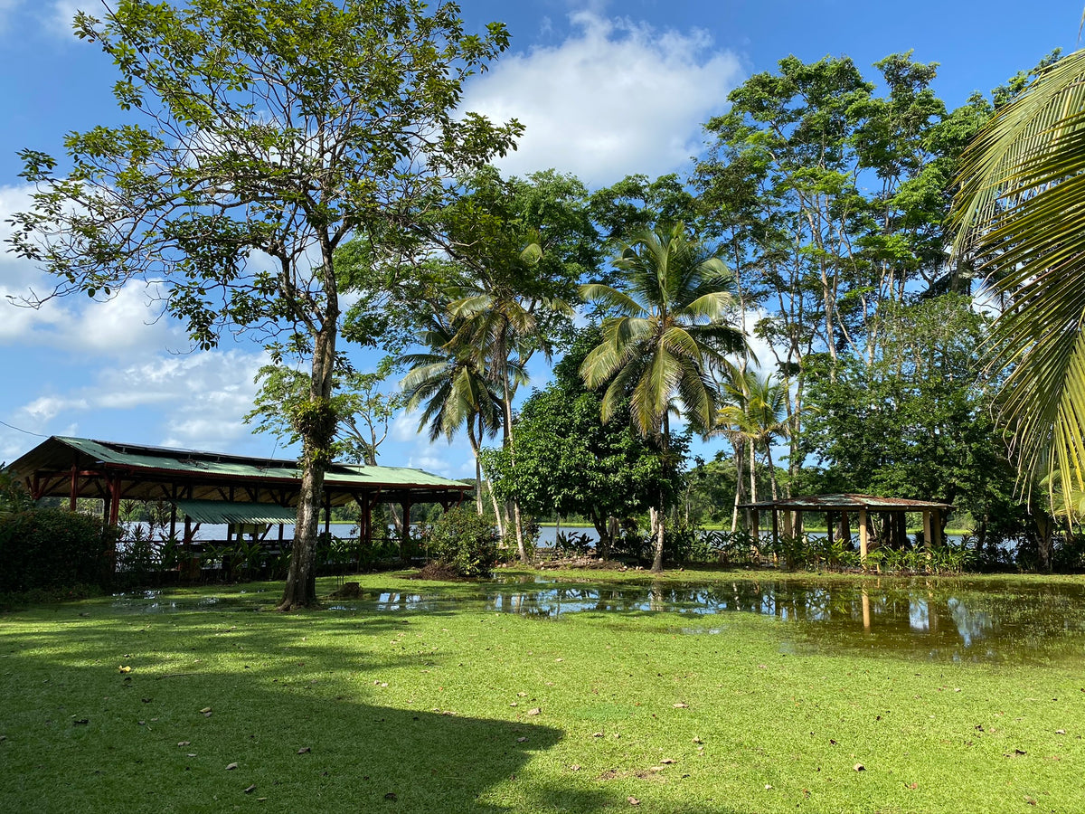 Lirio Lodge
