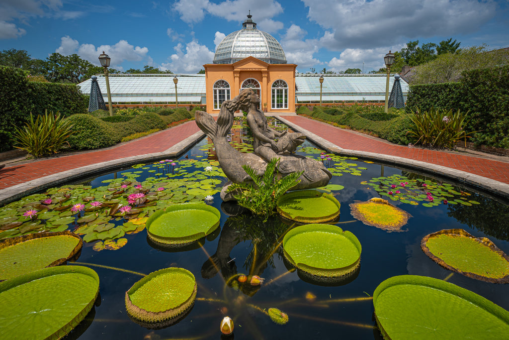 New Orleans City Park
