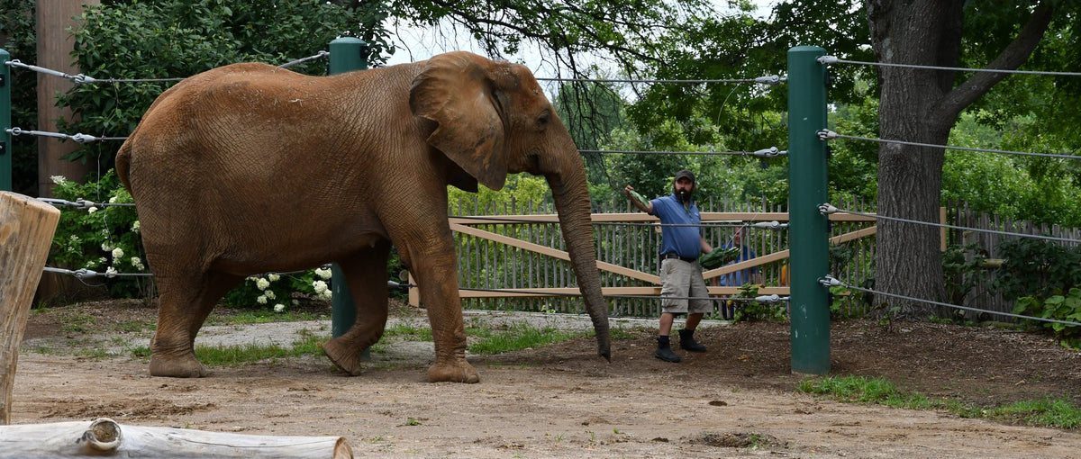 Louisville Zoo