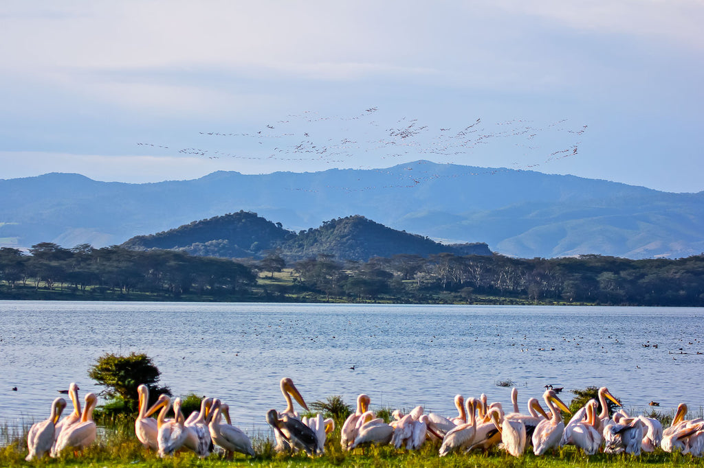 Oserengoni Wildlife Sanctuary
