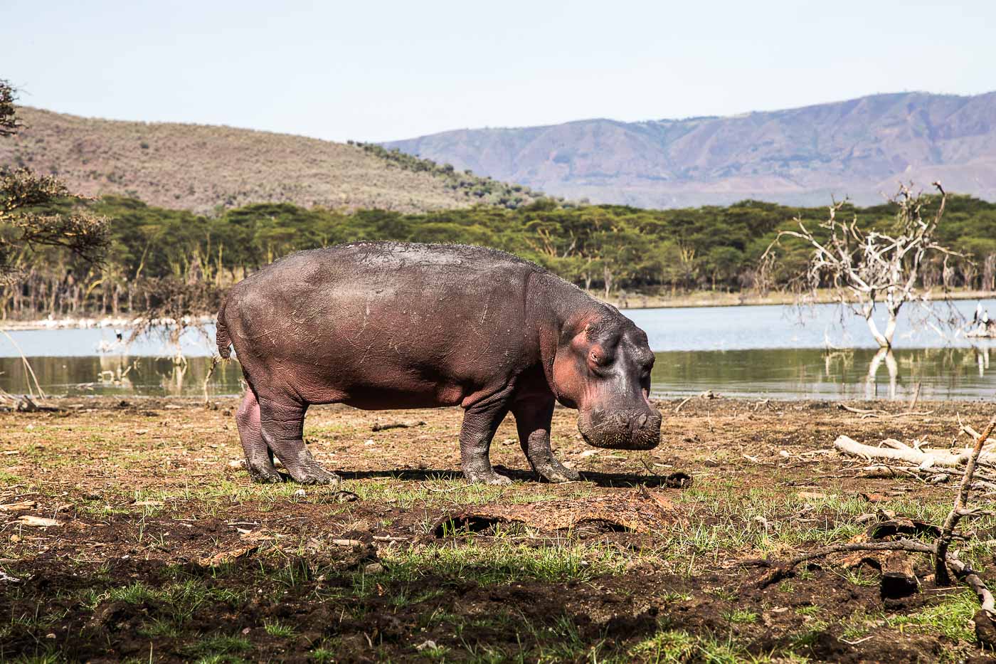 Oserengoni Wildlife Sanctuary