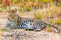 Oserengoni Wildlife Sanctuary
