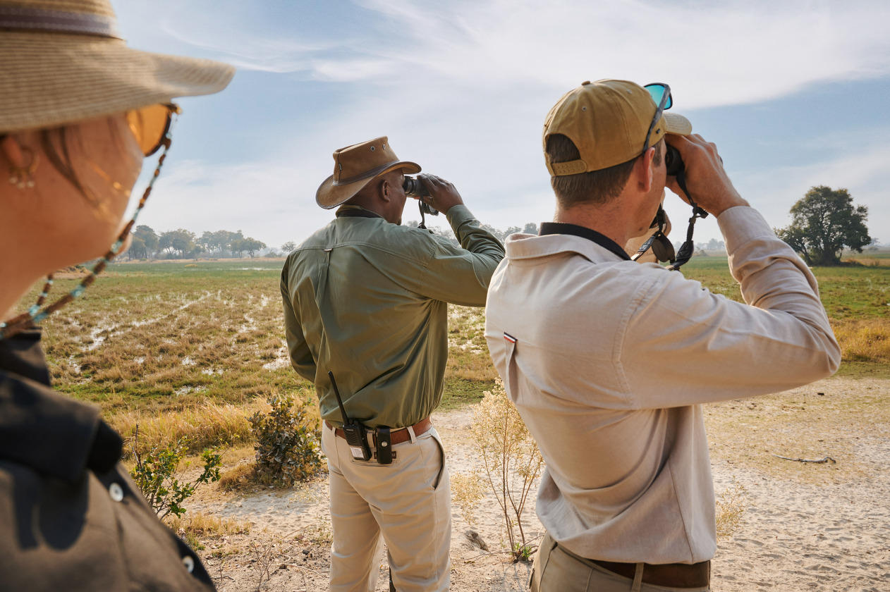 Walking Safaris