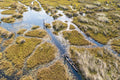 Mokoro Safaris (Traditional Canoe Safaris) gallery image 1