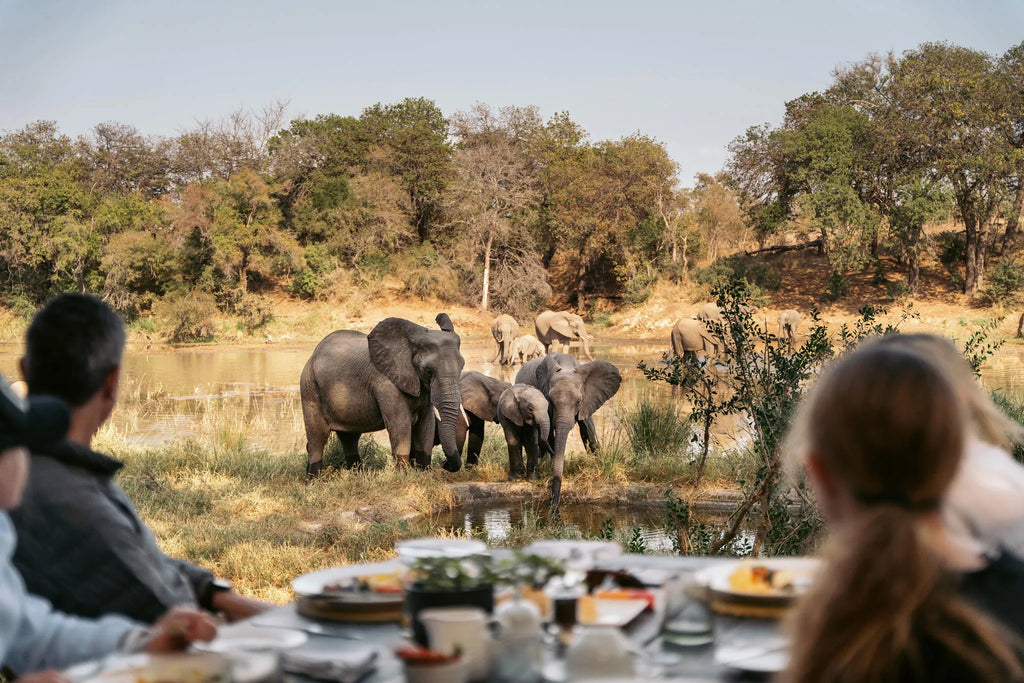 Simbavati River Lodge at Simbavati River Lodge, Timbavati Private Nature Reserve, South Africa.