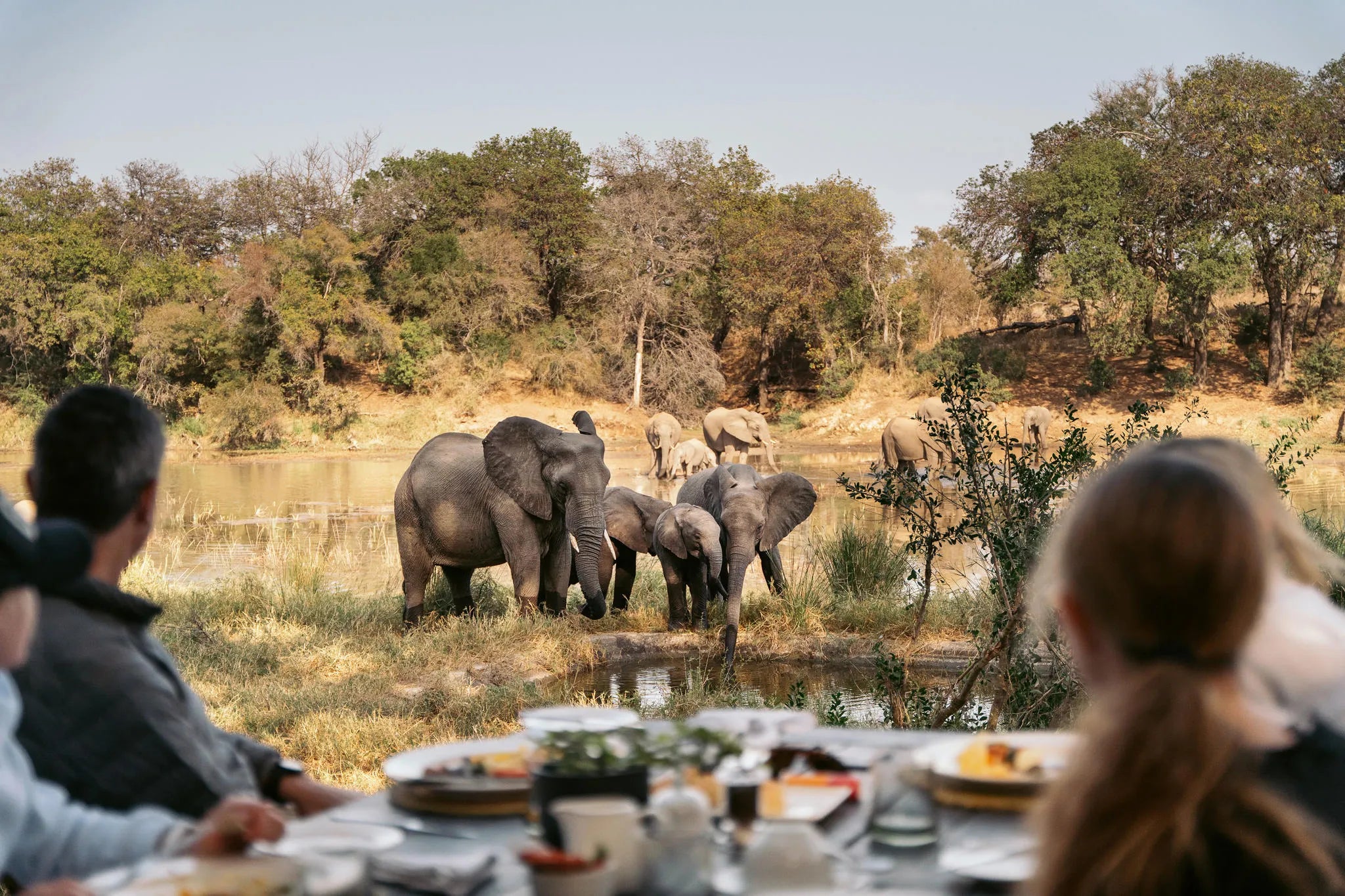 Simbavati River Lodge at Simbavati River Lodge, Timbavati Private Nature Reserve, South Africa.