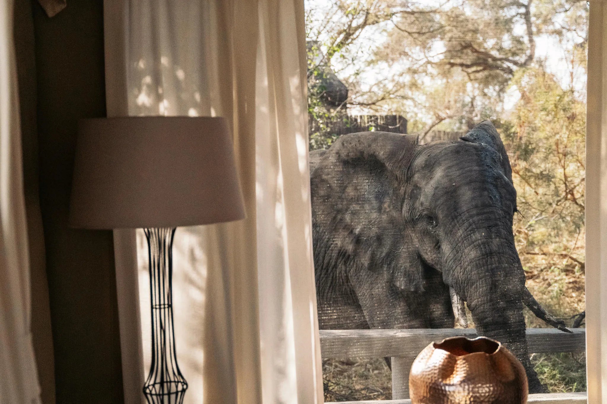Simbavati River Lodge at Simbavati River Lodge, Timbavati Private Nature Reserve, South Africa.