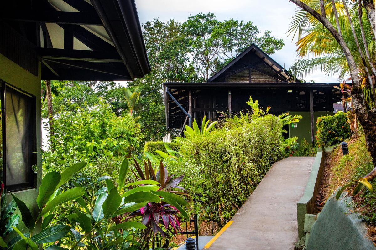 Tiki Villas Rainforest Lodge