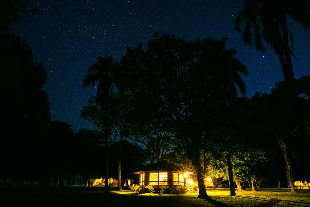 The house at night