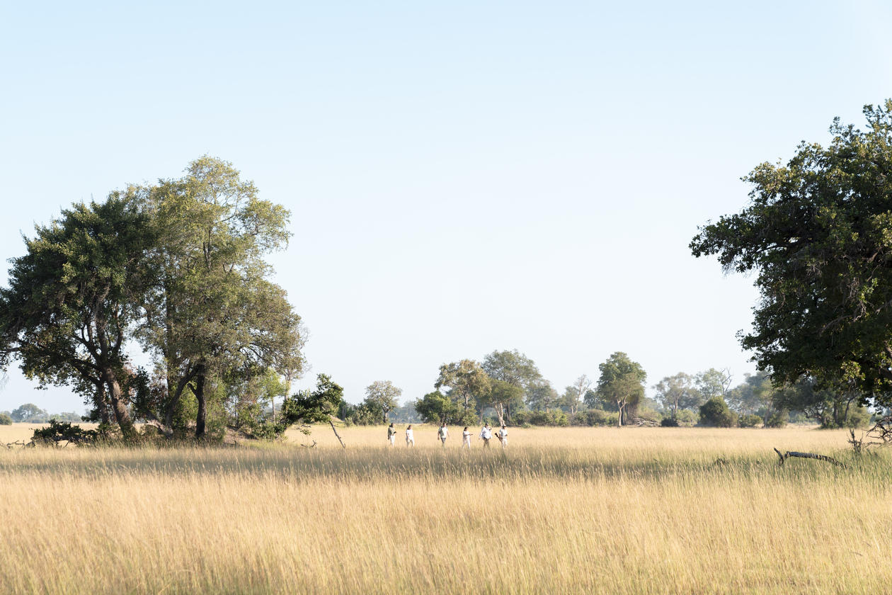 Walking Safaris gallery image 2