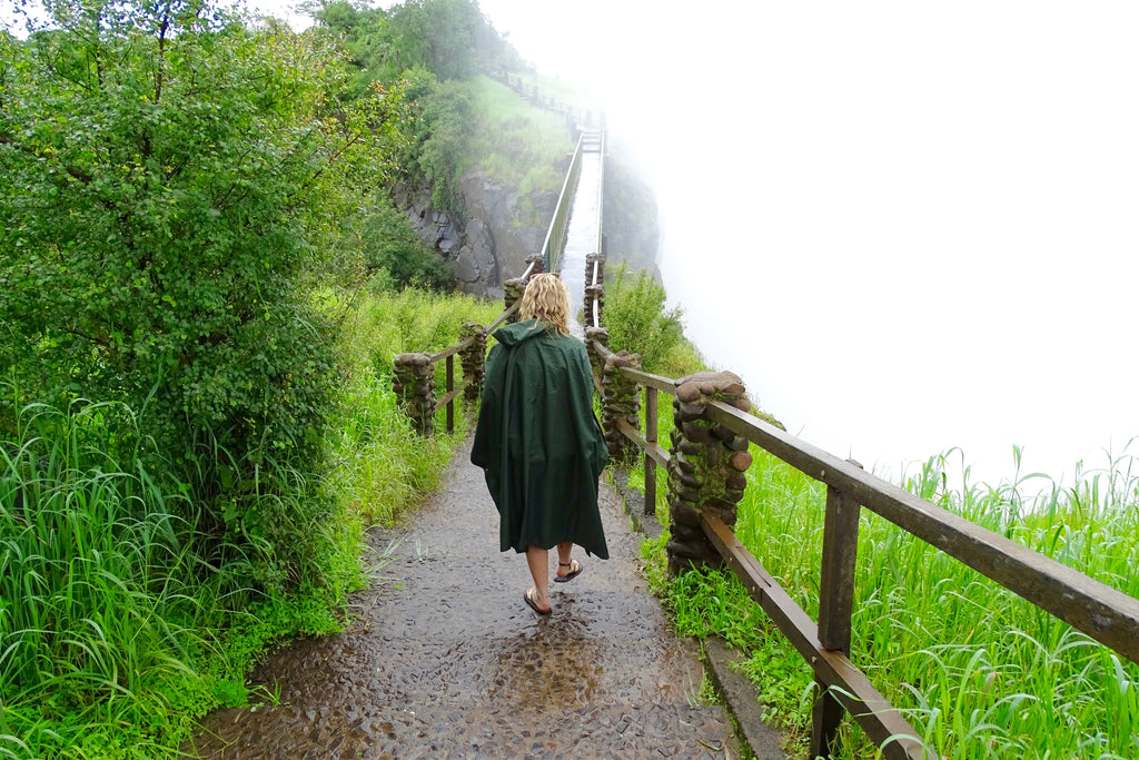 Guided Tour Of The Falls