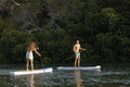 Stand up paddle boarding gallery image 1