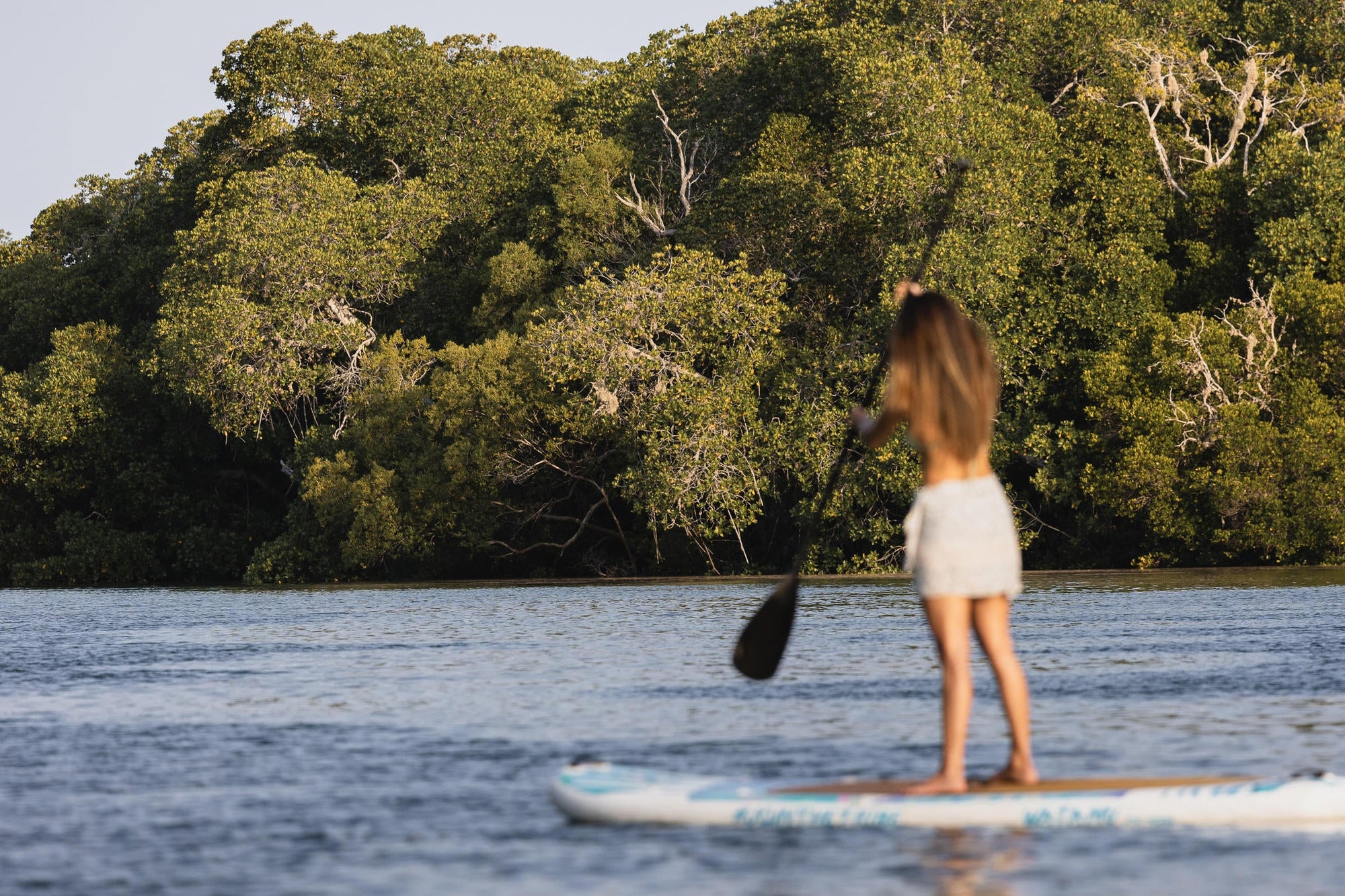 Stand up paddle boarding gallery image 4