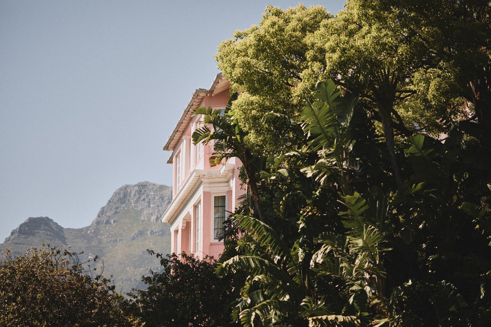 Historical Tree and Garden Tour gallery image 1