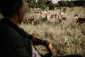 Game Drives gallery image 1