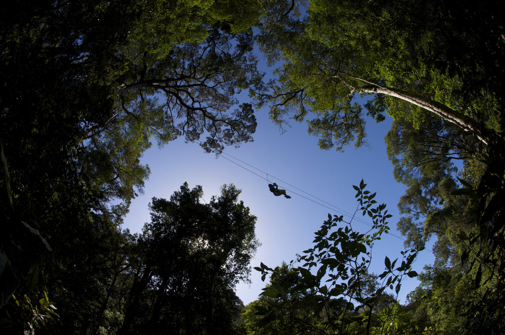 Fairtrade Tree Top Canopy Tour