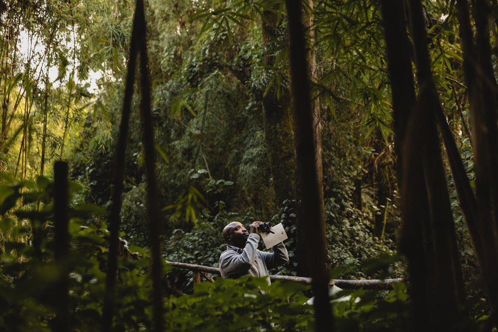 Wilderness Sabyinyo – Guided Bird-Watching Walks gallery image 2