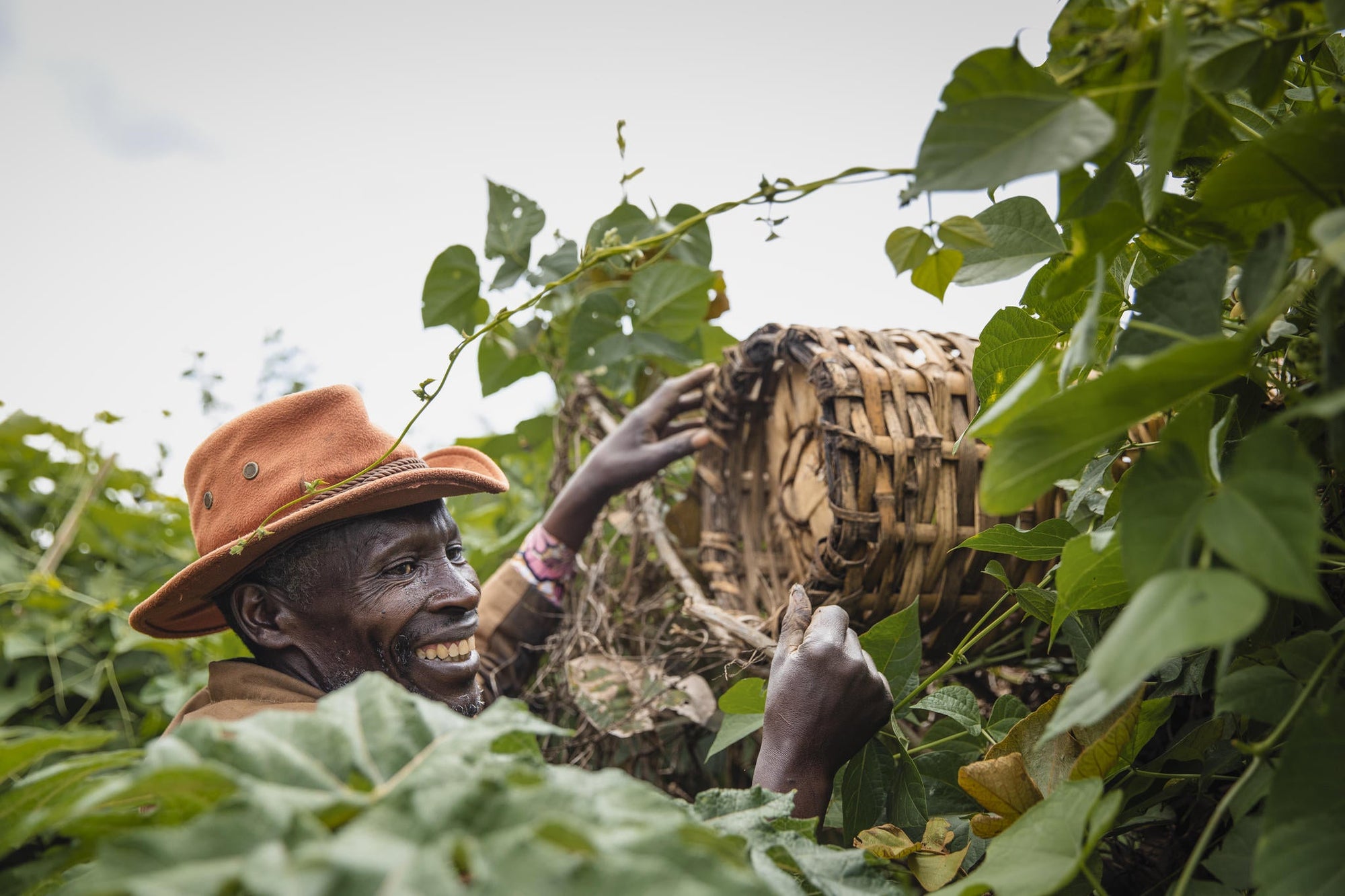 Wilderness Sabyinyo – Guided Cultural Walks gallery image 4