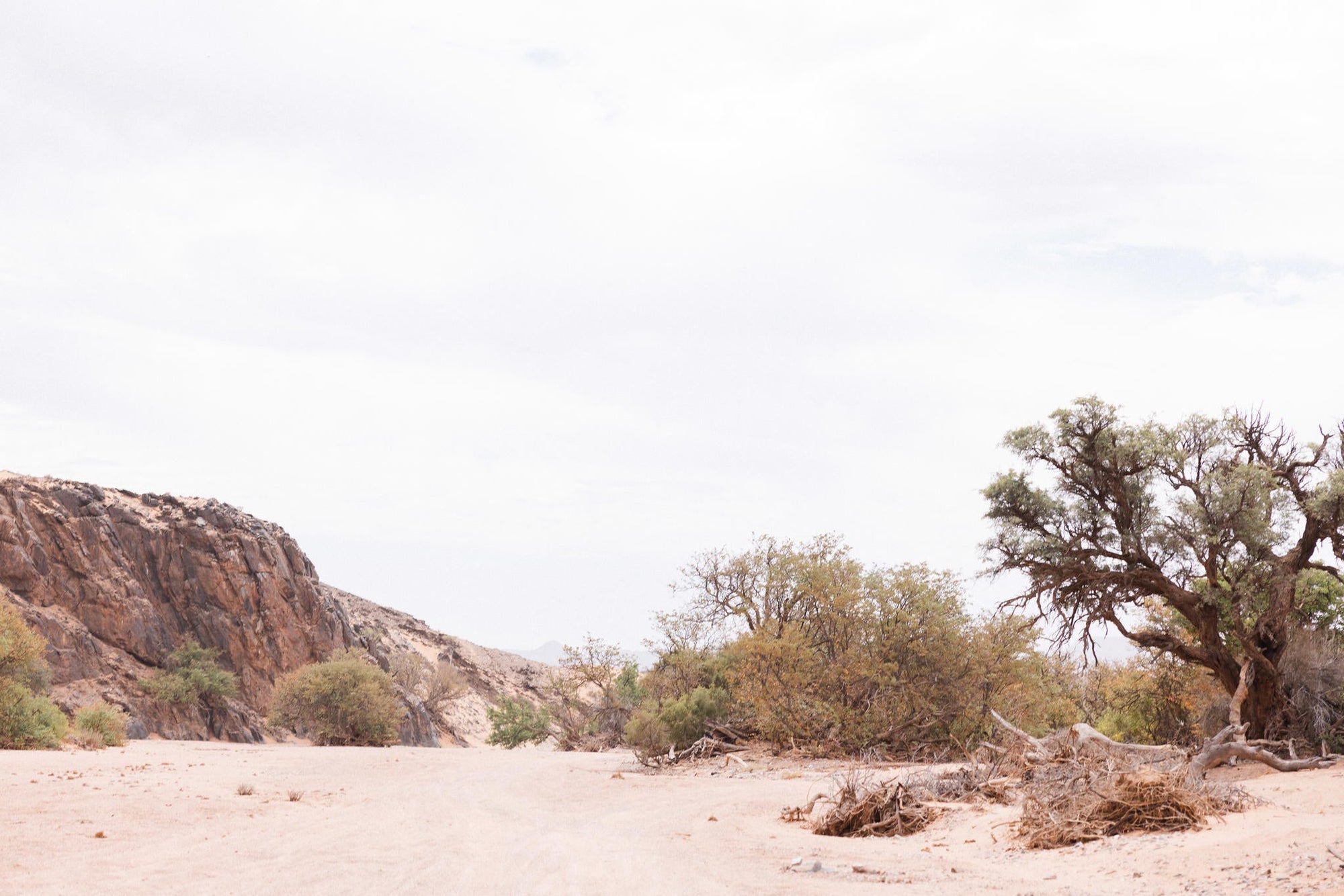 Guided Elephant Experience gallery image 7