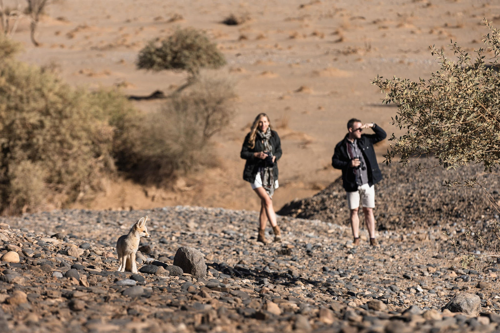 Wilderness Kulala Desert Lodge – Guided Nature Trails