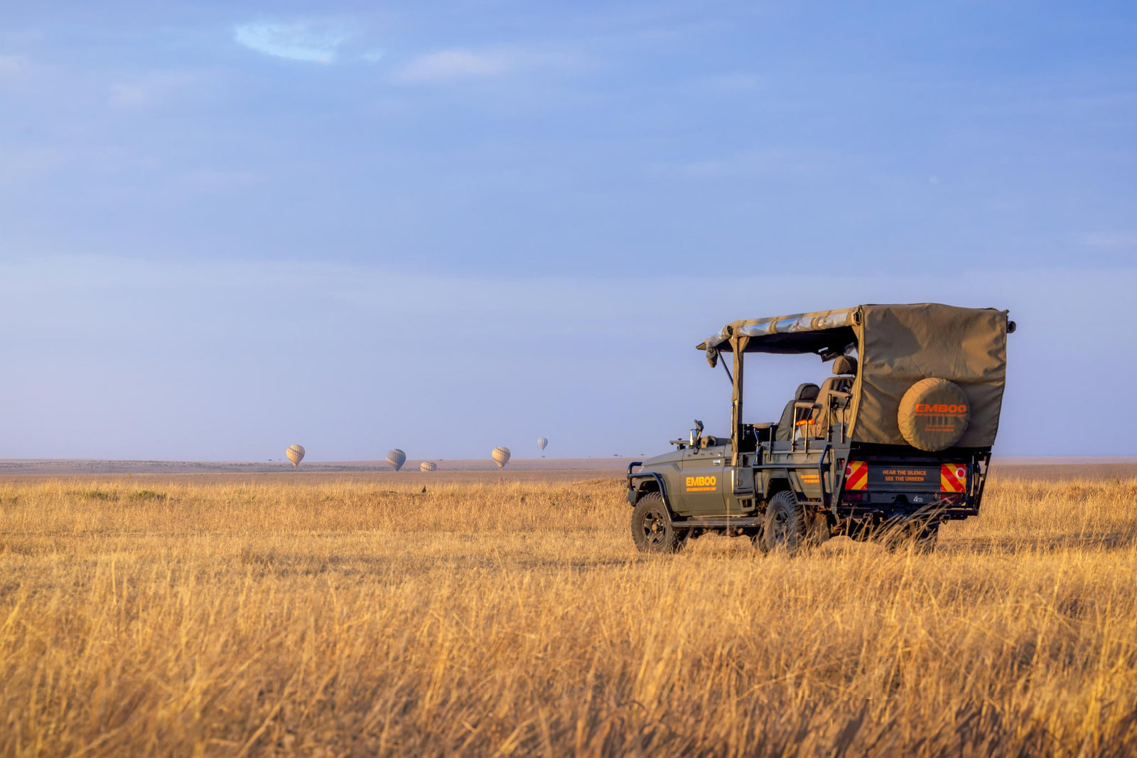 Balloon safari
