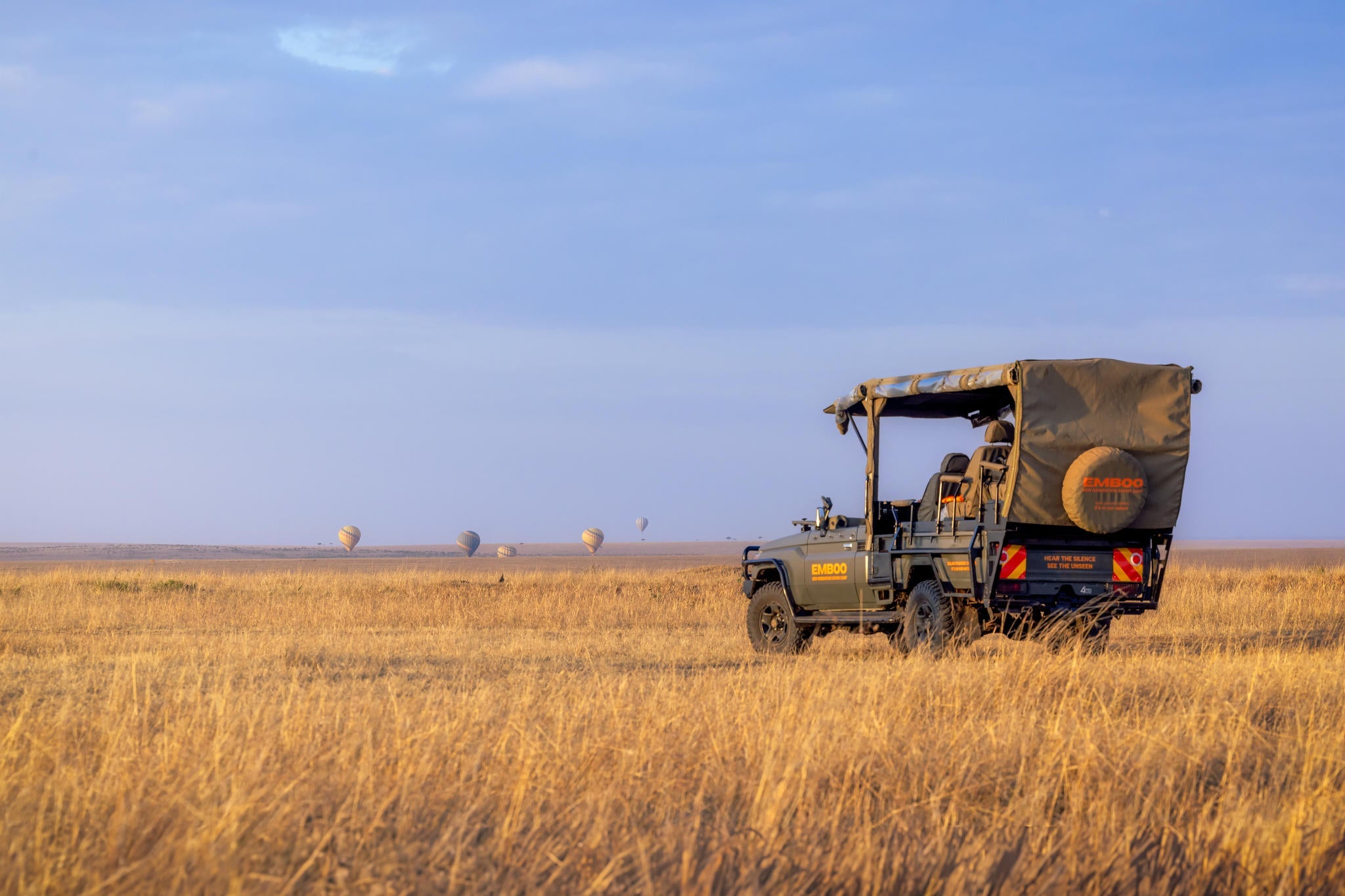 Balloon safari