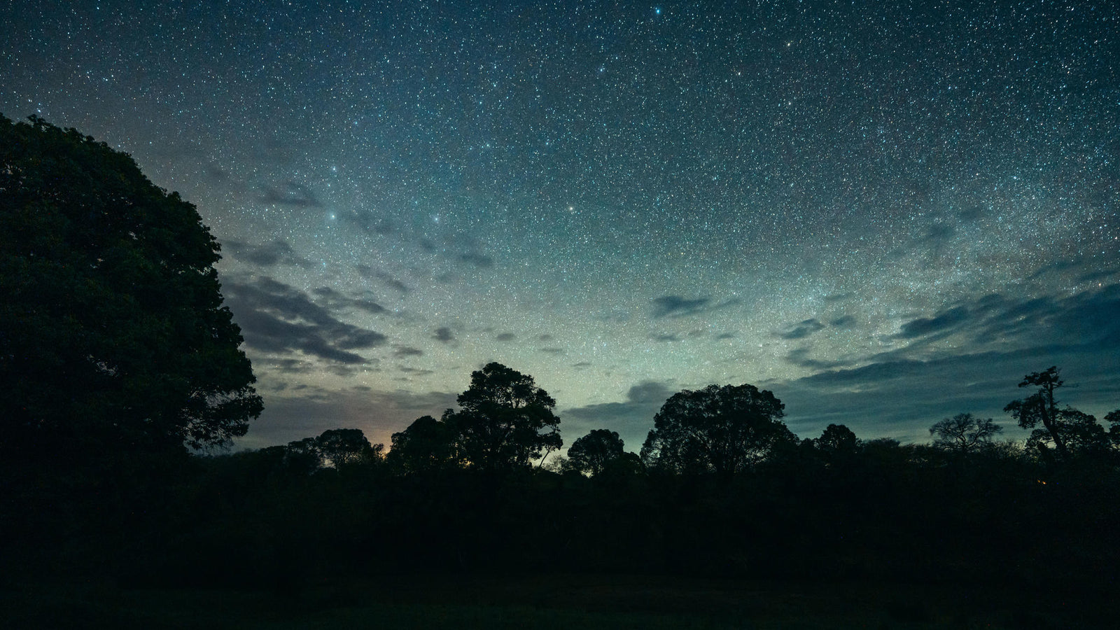 Emboo at night