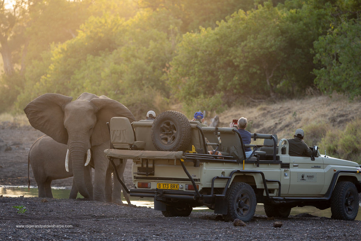 Private Game Drives