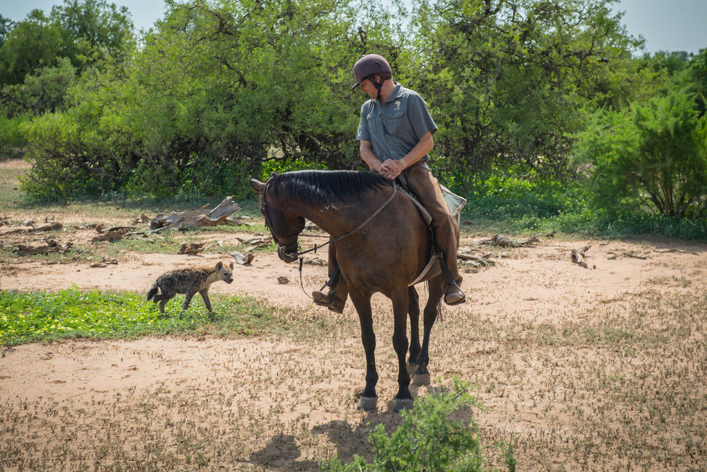 Horseback Mashatu
