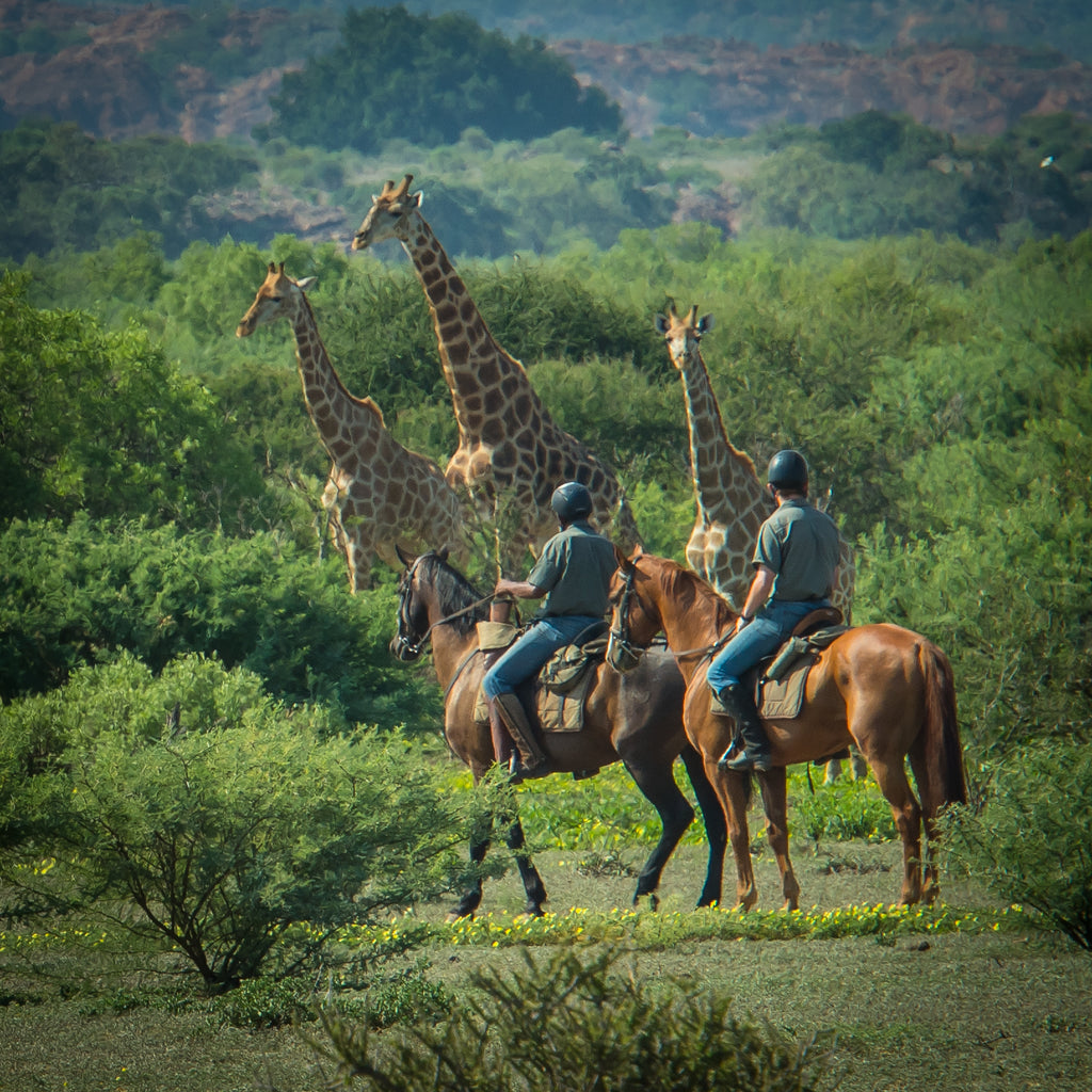 Horseback Mashatu