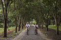 Walking, running and cycling trails gallery image 1