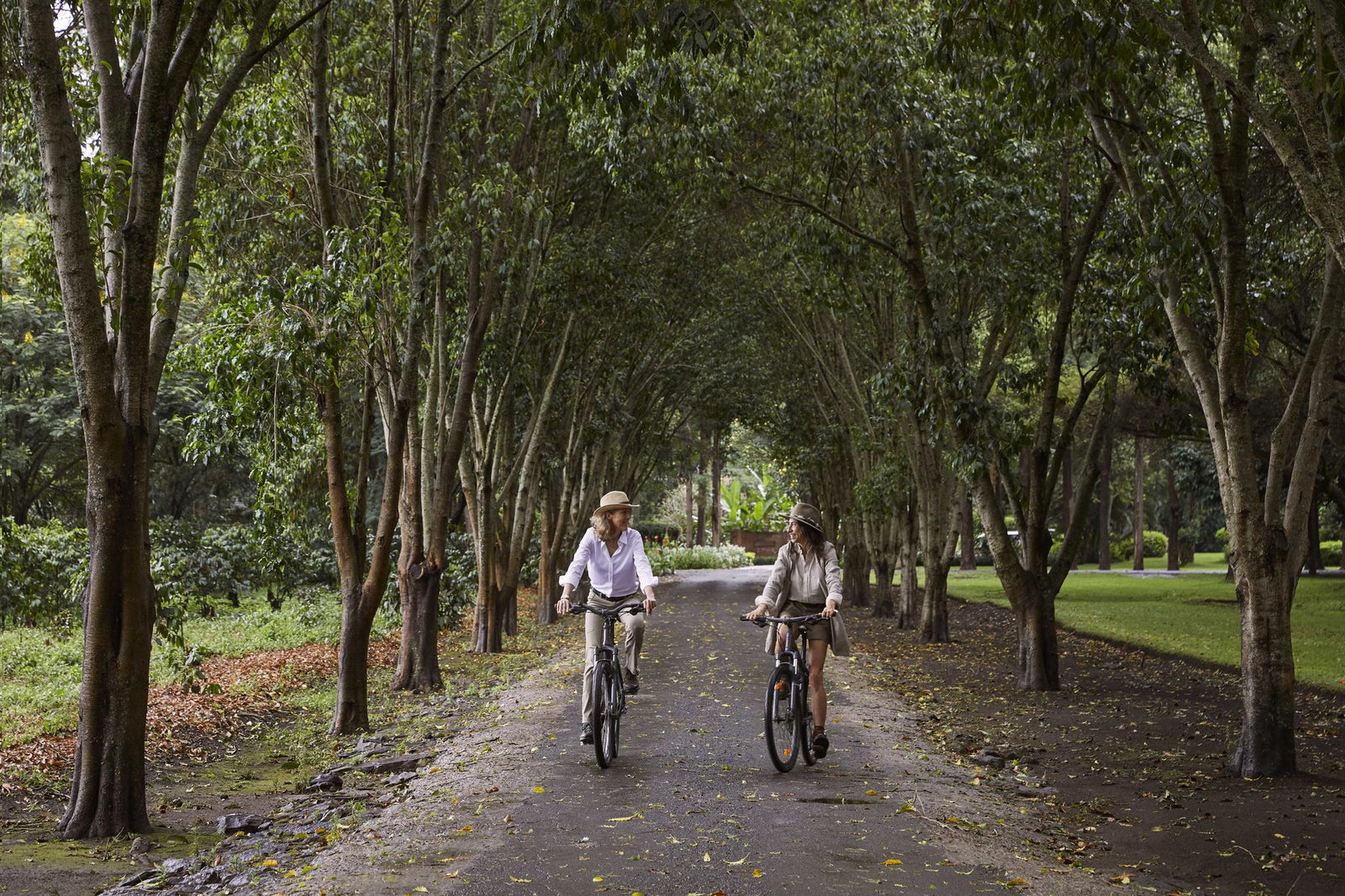Walking, running and cycling trails