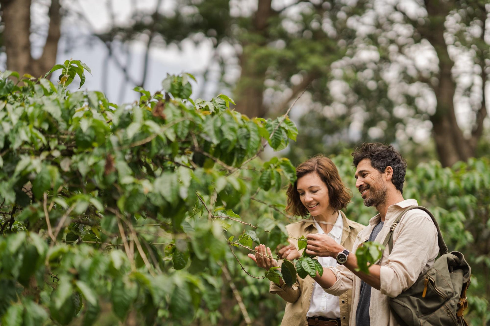 Coffee tours (additional charge)