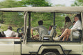 Game drives (day and night) gallery image 1