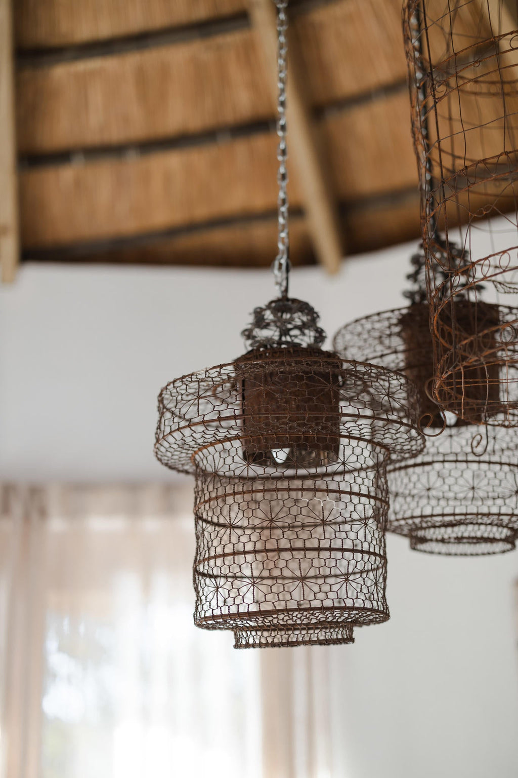 Bird House gallery image 7