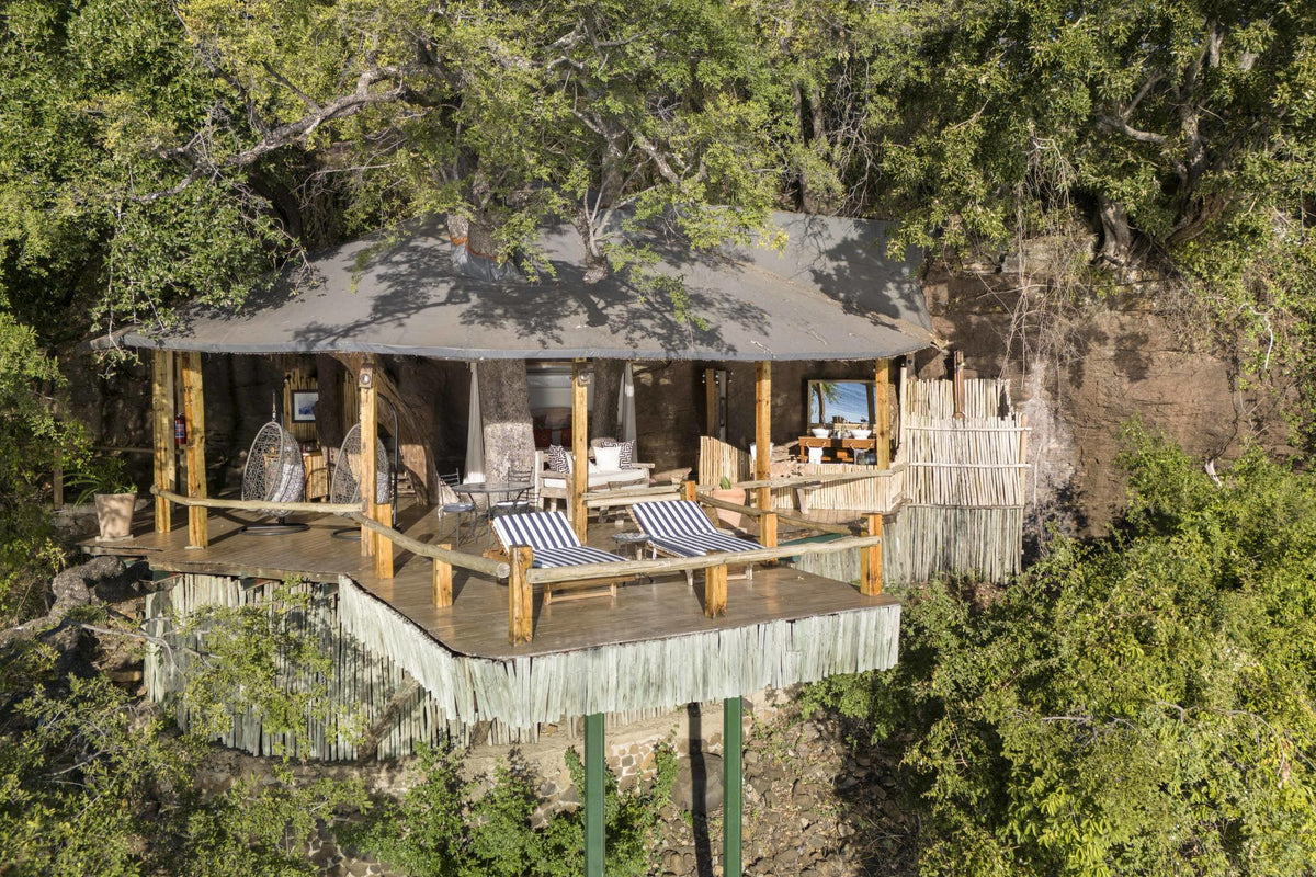 Tree House