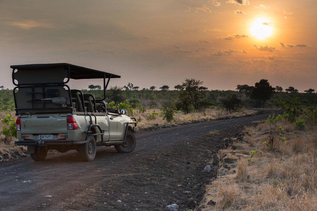 Game Drives gallery image 3