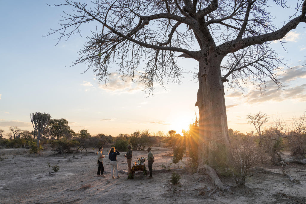 Game Drives gallery image 5