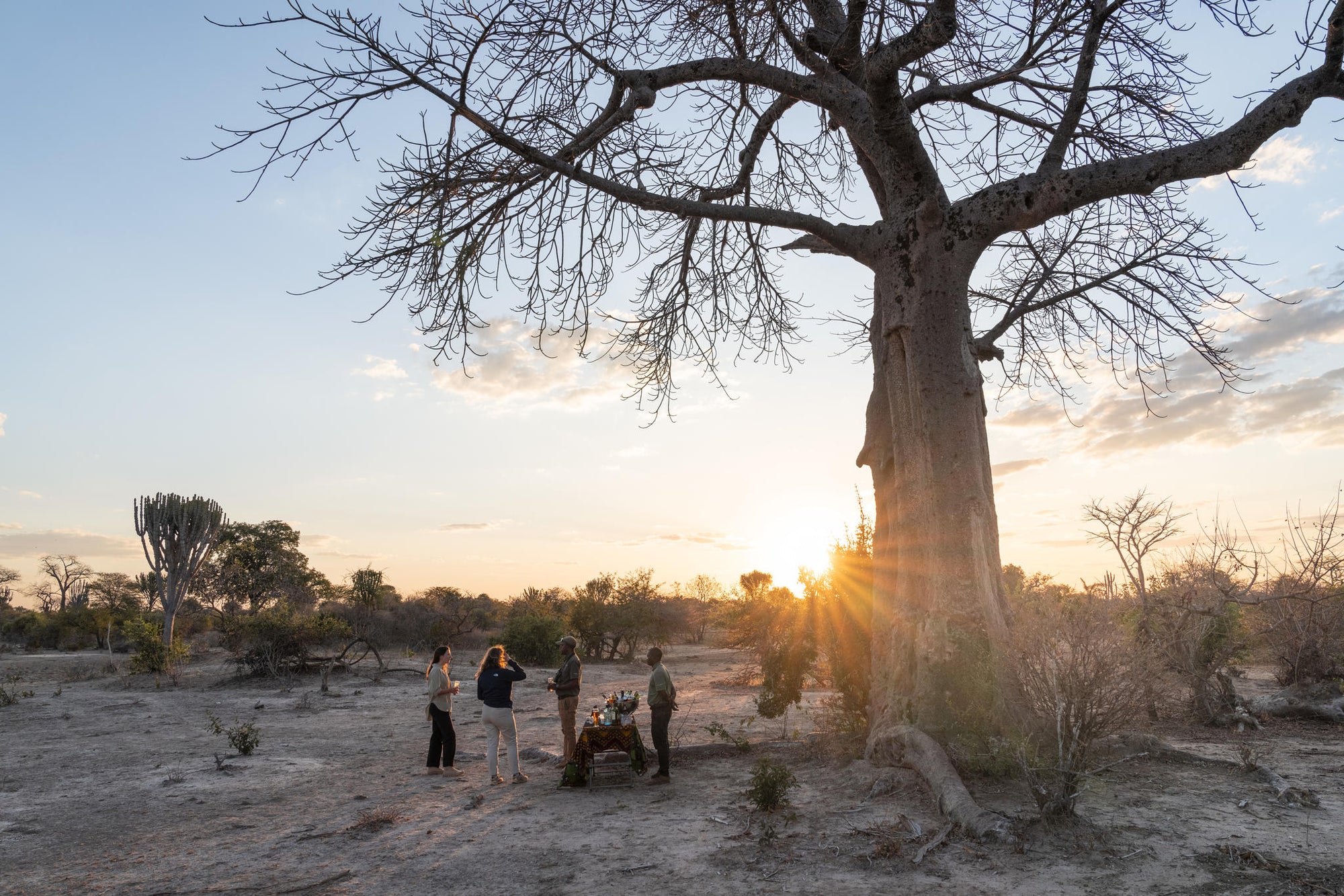 Game Drives gallery image 5