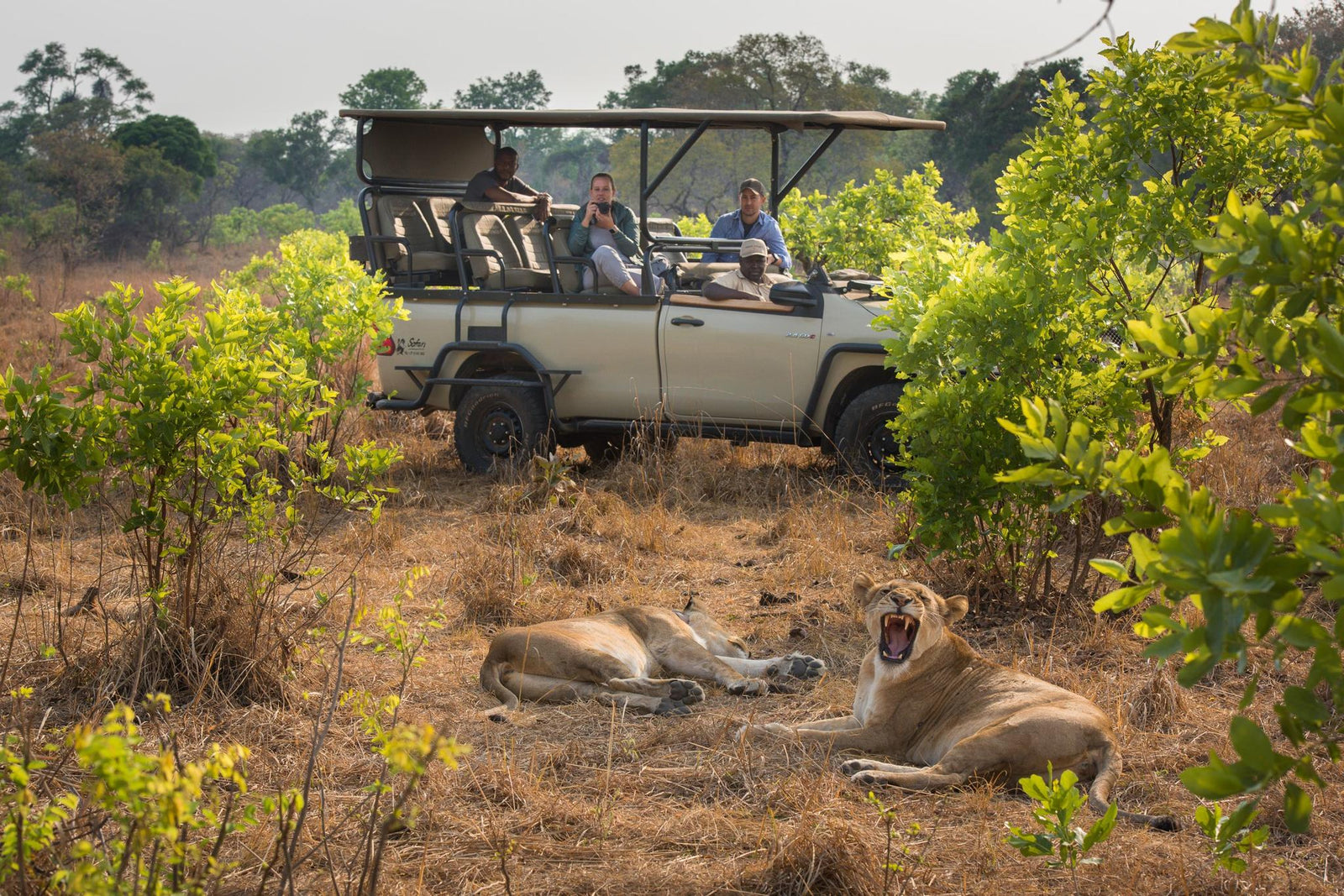 Game Drives
