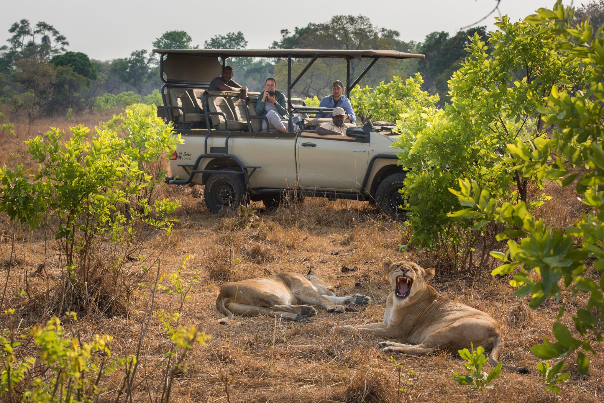 Game Drives