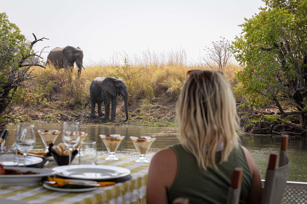 Boat Cruises & Boat Safaris gallery image 2