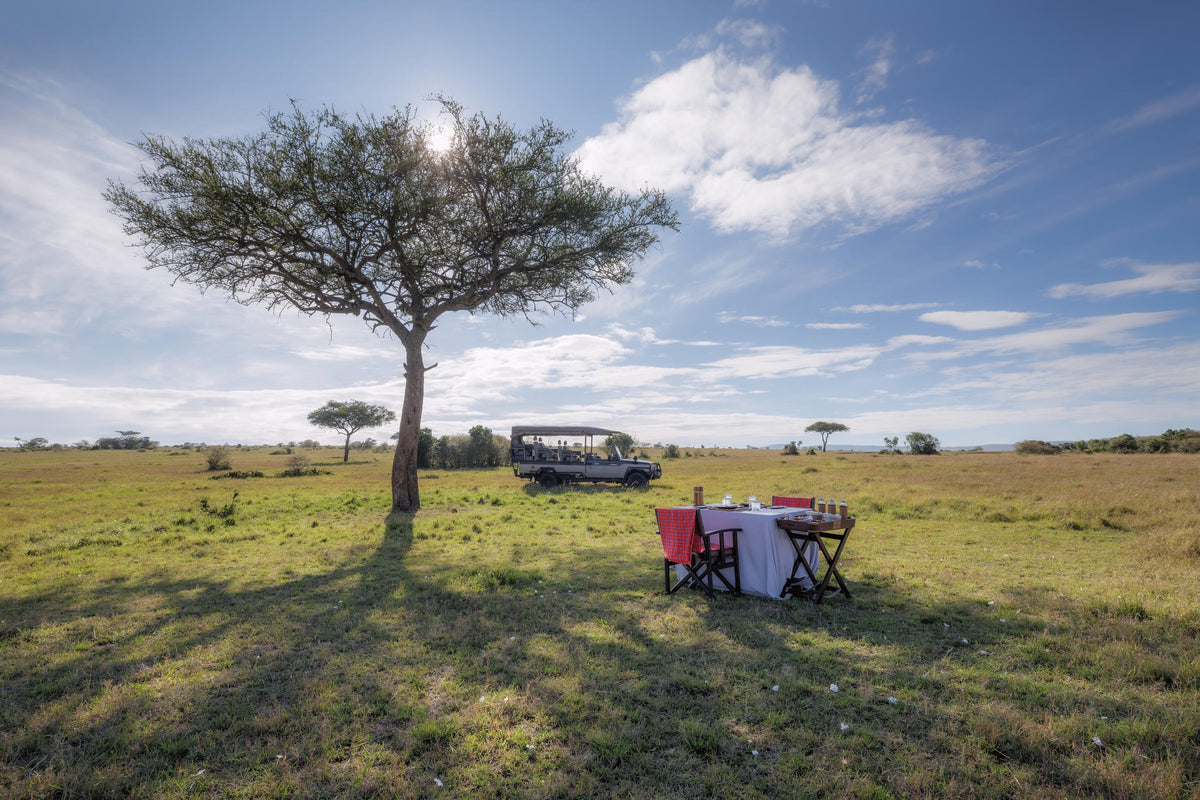 Bush Breakfast