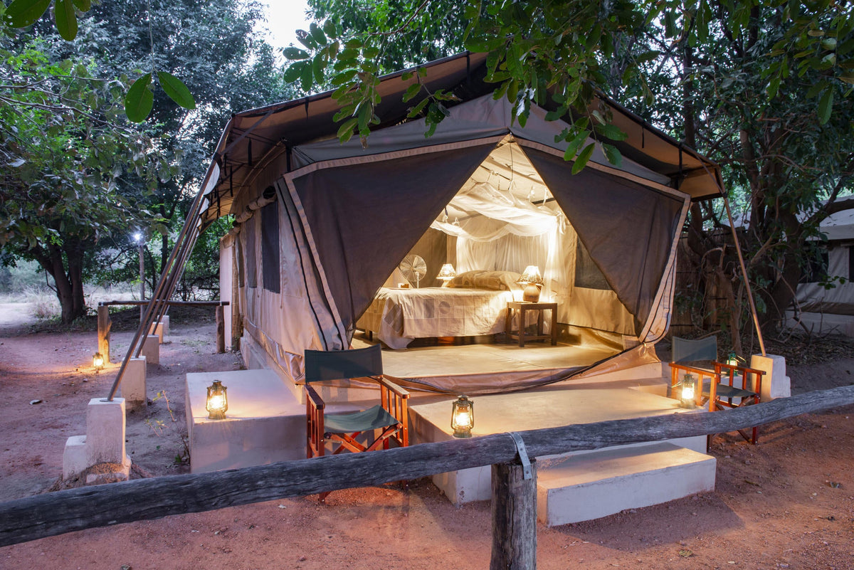 Classic Safari Tents at Flatdogs Camp  gallery image 3