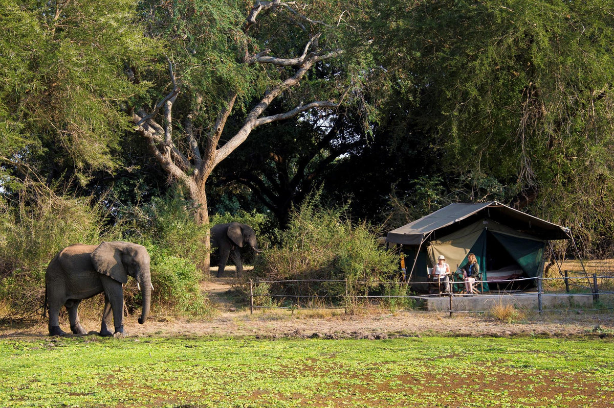 Classic Safari Tents at Flatdogs Camp  gallery image 2