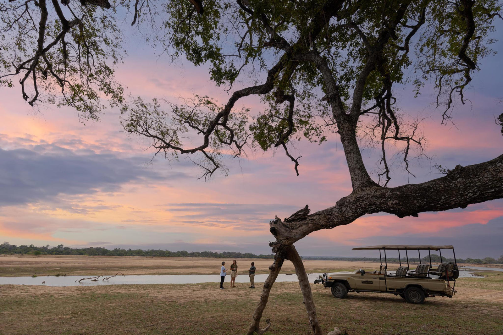 Walking Safaris