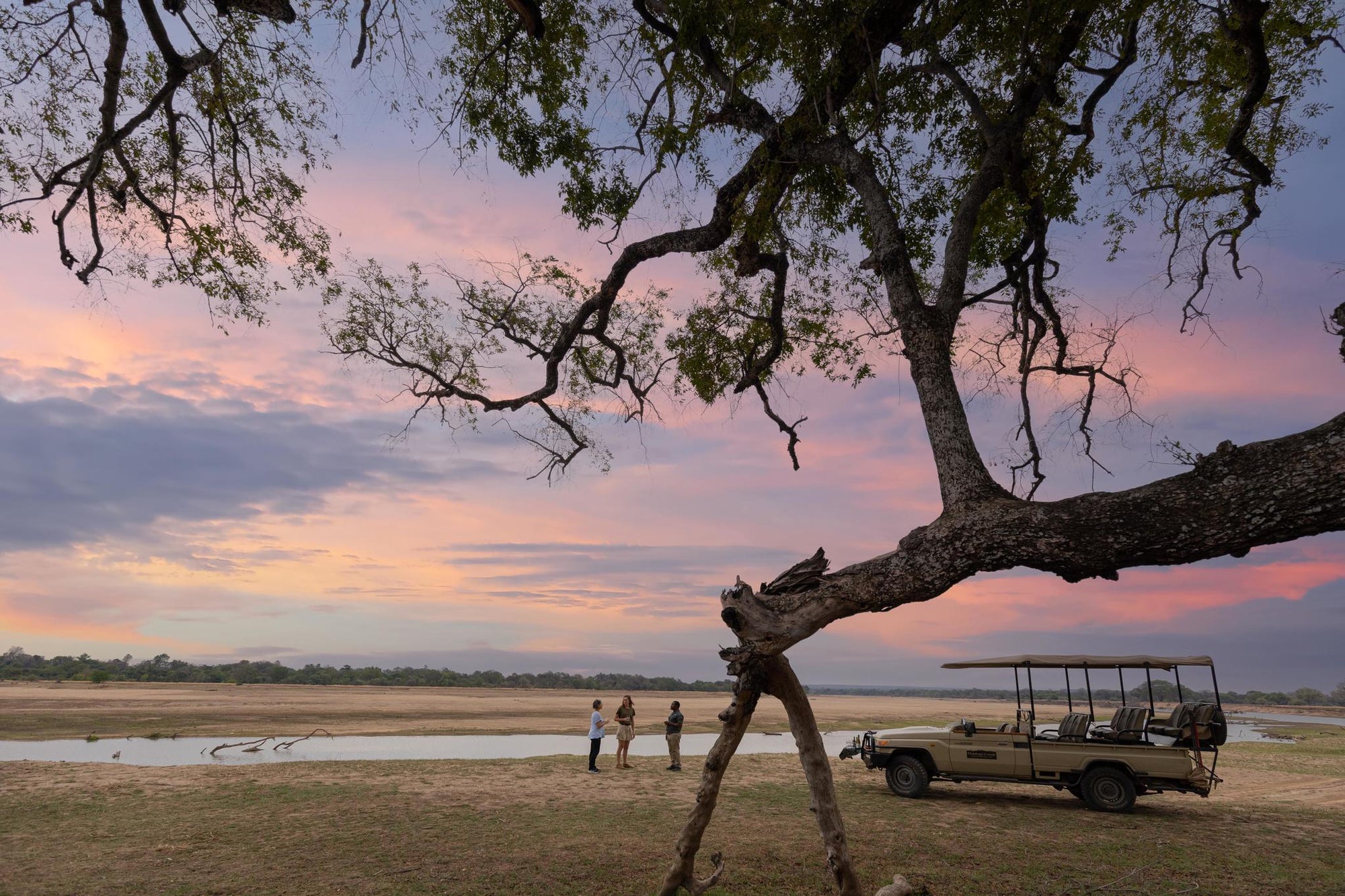 Walking Safaris  gallery image 1