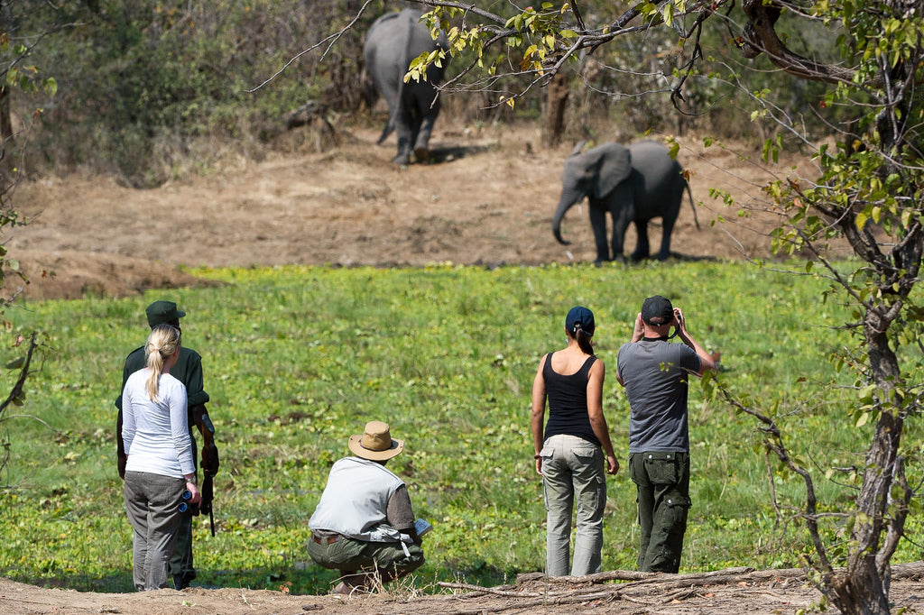 Walking Safaris  gallery image 3