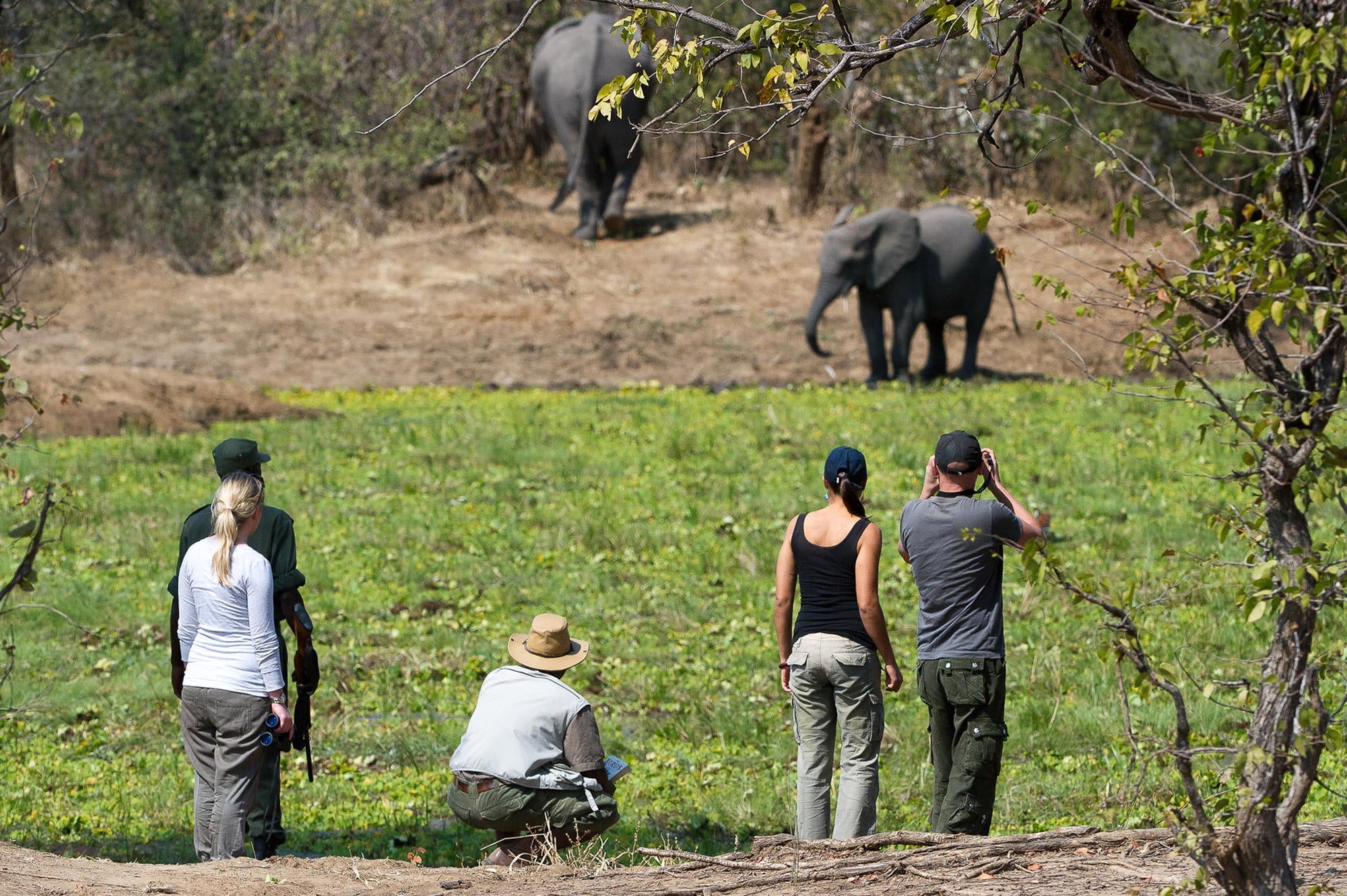 Walking Safaris  gallery image 3